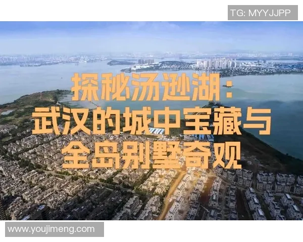 武汉极限运动队技术探秘：挑战极限的激情与创新之路